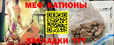 прущие грибы Ставрополь