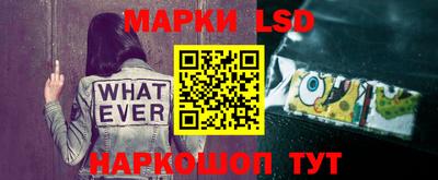 прущие грибы Ставрополь