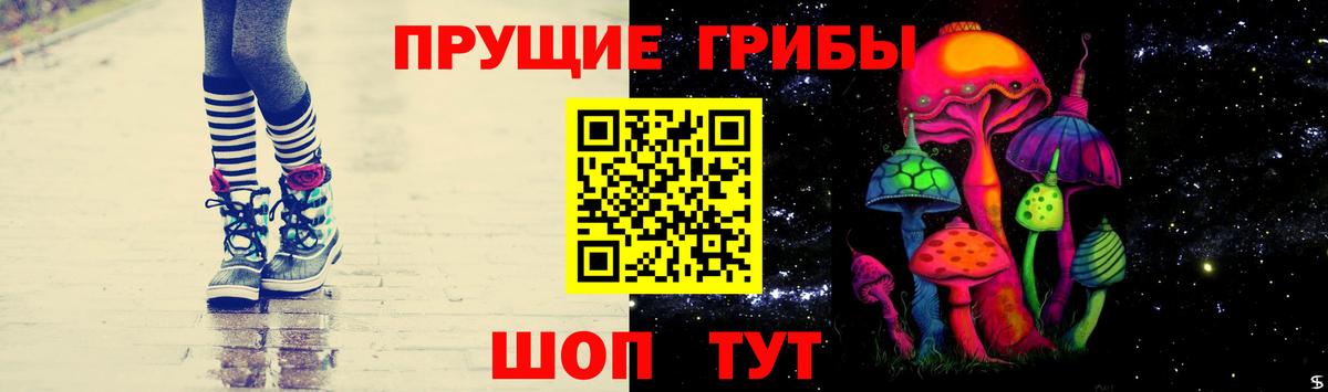 Галлюциногенные грибы Psilocybe Новочебоксарск